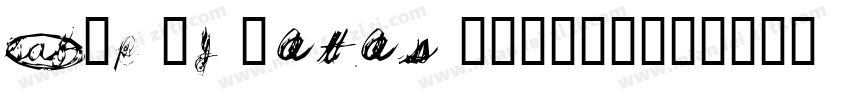 SLp Oy Fatas 144175字体转换